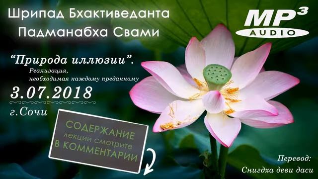 Природа иллюзии  Реализация, необходимая каждому преданному, 03 07 2018, Сочи   ШБВ Падманабха Свам