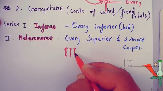 Bentham & hooker's system of classification,       Simplified Hindi
