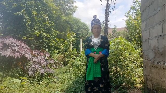 paj kub lis kwv txhiaj ua neej li puav dai tis 2022