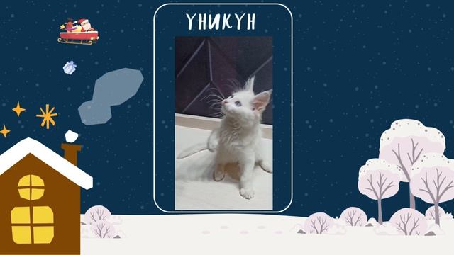 Умняшки Куняшки