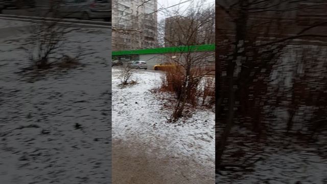 17.02.25. второе видео о пополнении кормушек у парка кормом