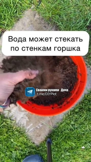 Совет по поливу комнатных растений #полив #комнатныерастения #горшок #сад #огород