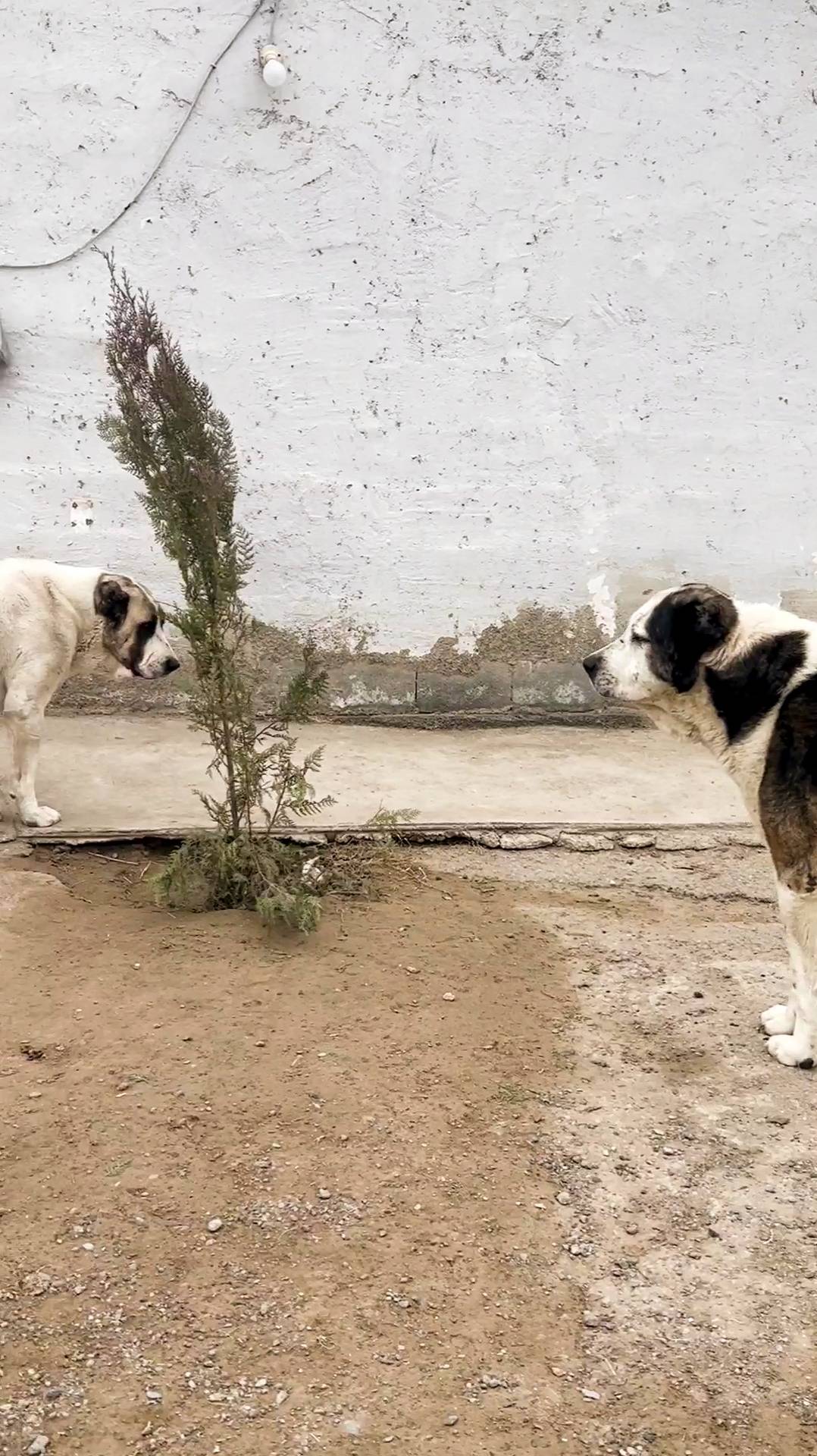 Достаточно сломить силой Духа!