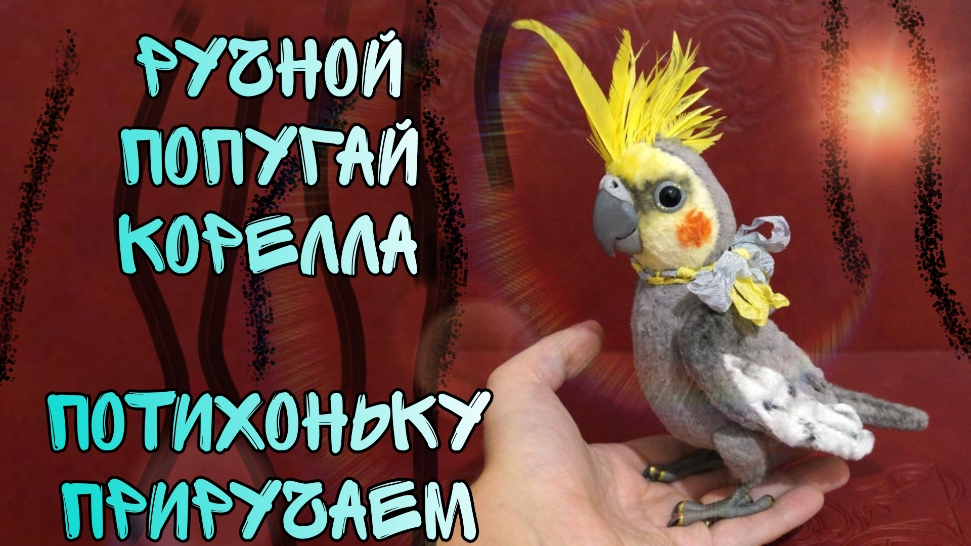 Корелла сидит у меня на ноге и засыпает #попугай #корелла #parrot #birds #cockatiel #corella