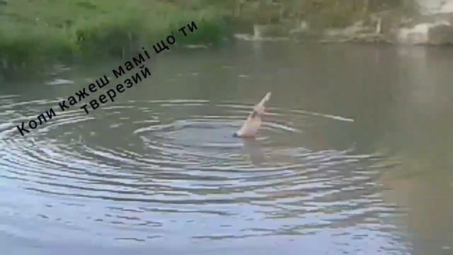 Коли кажеш мамі що ти тверезий....