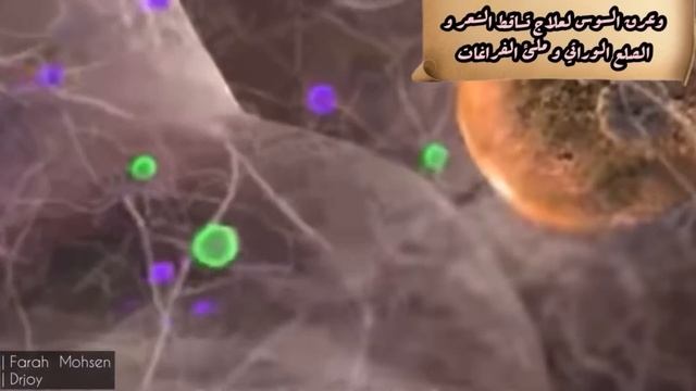 العرق سوس لمقاومة الصلع الوراثي و علاج تكيس المبايض و فقدان الشعر Glycyrrhiza glabra| فرح محسن drjo