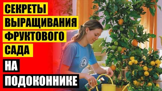 ❗ Через сколько всходят косточки лимона 🤘 Купить лимонное дерево для дома ⭐