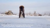 ТИМЕРТАШ ЕДИНСТВЕННАЯ НЕПОВТОРИМАЯ дочь ВИВЫ и ШИКА +79048881825 viber whatsapp www.timertash.ru