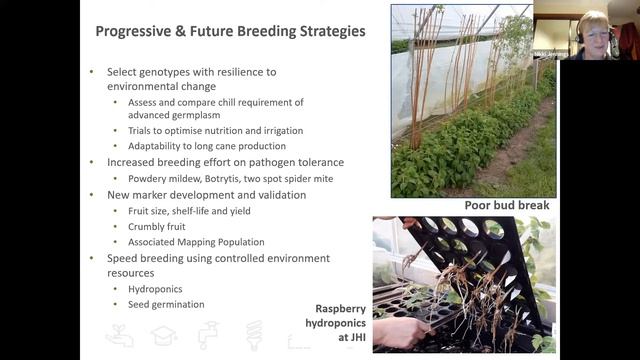 New raspberry varieties from the Scottish Raspberry Breeding Programme