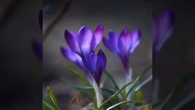 Завтра уже весна 🌼🌼🌼🌼🌼🌼🙋🙋