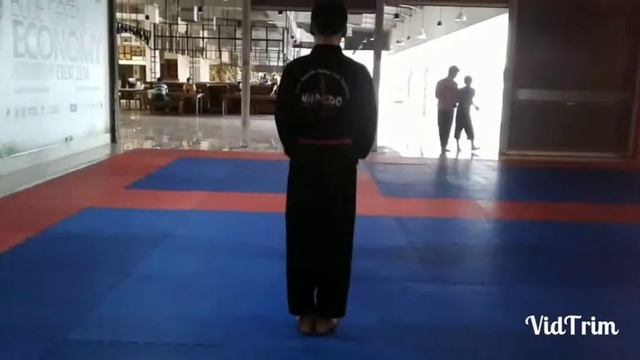 Son Sul Chigi, Hapkido Techniques