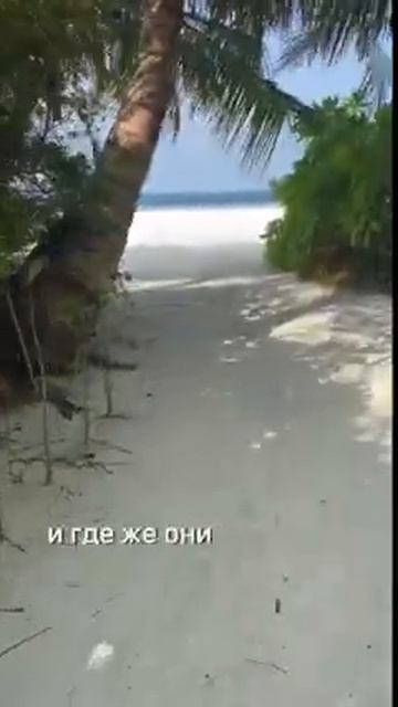 Где найти состояние?