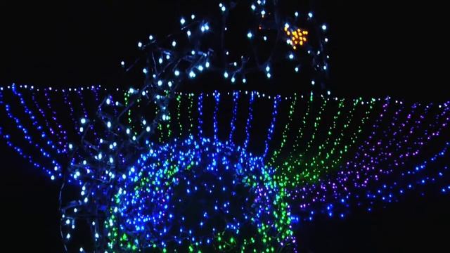 GardenFest of Lights 09.mov