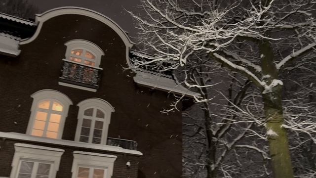 16.02.2025. В Калиниграде снег.