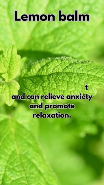 From Restless to Rejuvenated 10 Heavenly Herbs for Blissful Sleep! #SHORTS