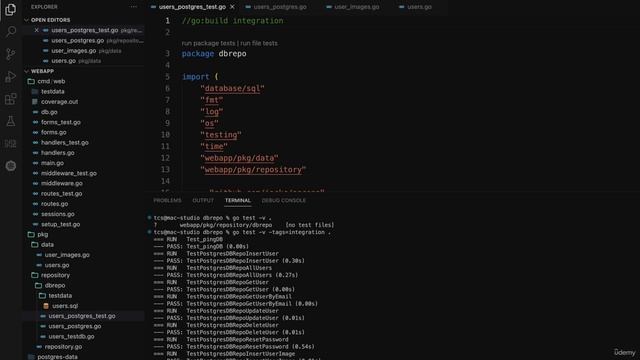 012 Using build tags to separate our integration tests