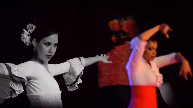 Rueda Flamenca Teaser