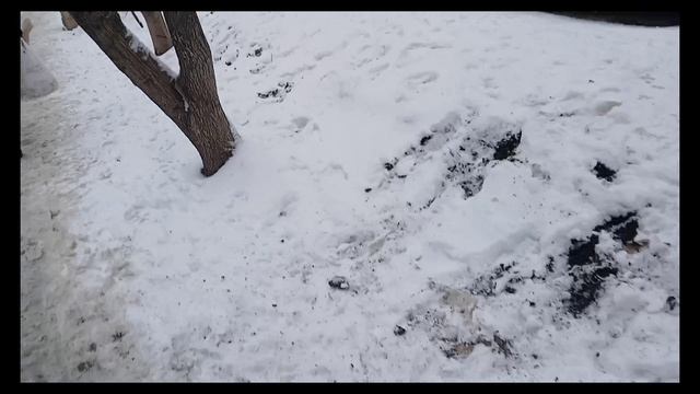 АНОНИМУСЫ против НЕГРОНИМУСОВ 2 (1 сезон 2 серия)