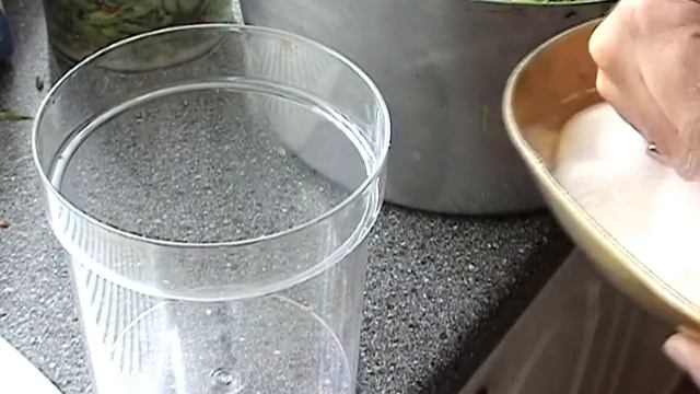 How to preserve runner beans
