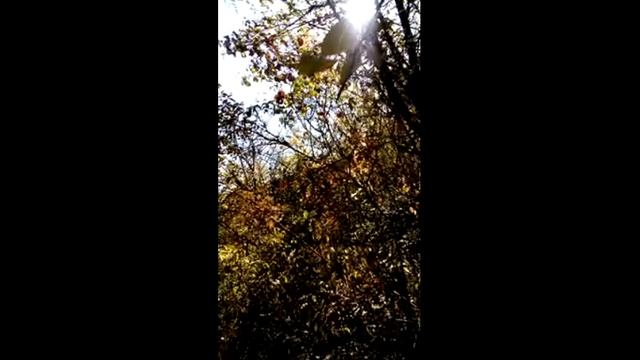 Просто картинки под музыку