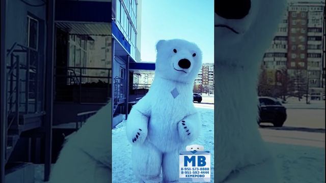 05.02.2025 Мишка Аниматор в Кемерово