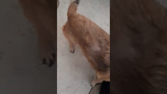 Видео WhatsApp 2025-02-17 в 12.48.23_746b2b75