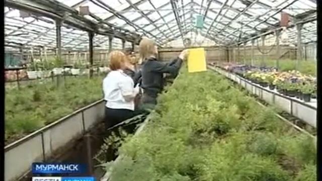Специалисты  Россельхознадзора приступили к ежегодному мониторингу растениеводческих хозяйств
