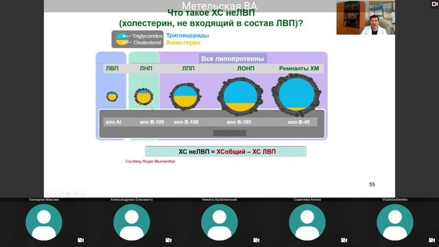 Метельская В. А. Липопротеины плазмы крови: структура, функции, метаболизм и транспорт липидов