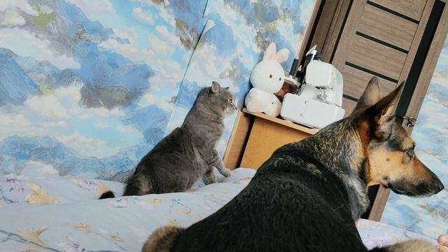 Ох уж, это воспитание