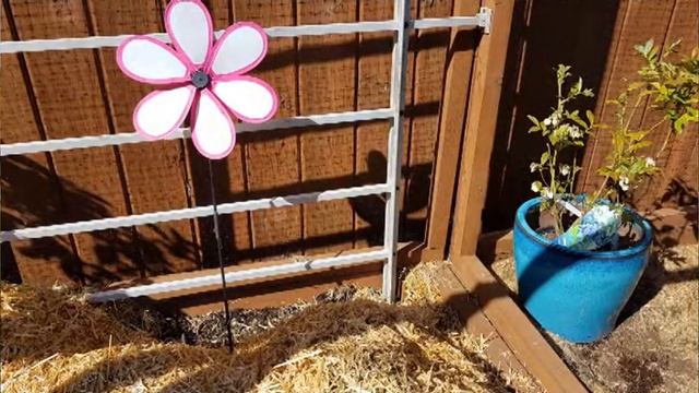In the Garden | Lorrie and Dave plan a garden | Garden tour 6 2020