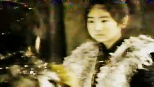 Oshin Capitulo 18 Español Latino)