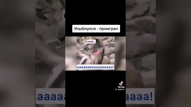прикол