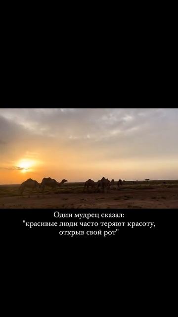 Один мудрец сказал...