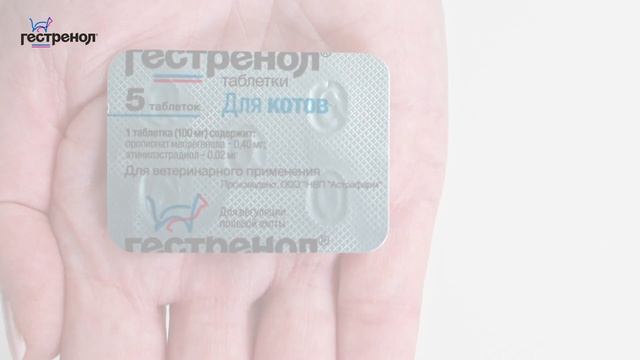 Гестренол таблетки для котов. Распаковка.