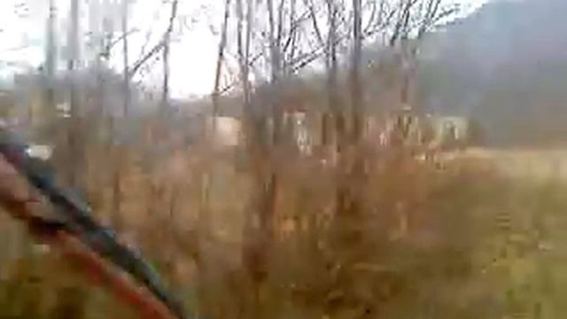 MOV00550.MP4