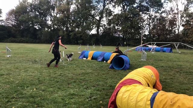 [Seminar] 28.09.2019 Agility Seminar bei Alina Loh - Rosi