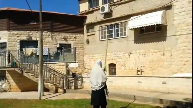 Biggest Etrog and Lulav Worldwide