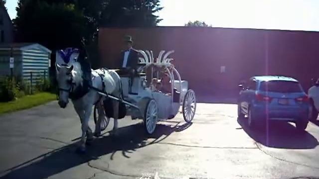 Horse Drawn Carriages - Cinderella Carriage 18f -- Carriage Limousine Service