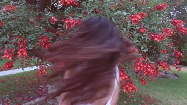 signorina commerical