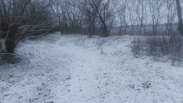 ЧТО Такое ЗИМА, ЭТО СНЕГ И Метели   
Засыпало снегом