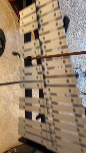 My brand new glockenspiel #viral #music
