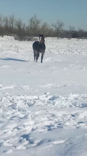 Ведьмушка 🐴🤗