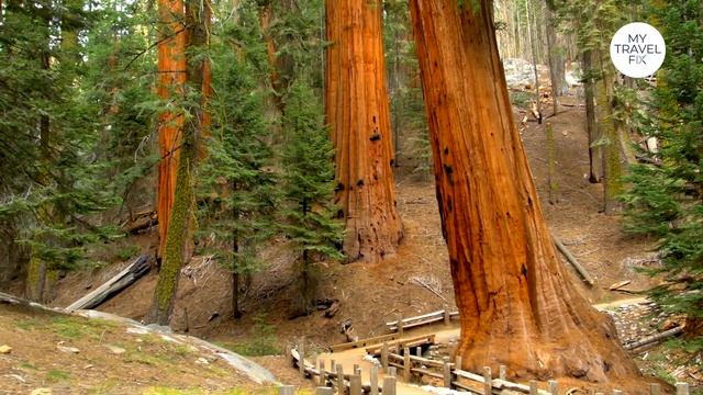 5 United States National Parks on the West Coast to visit this summer 4K