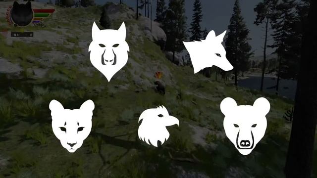 Grizzly Grab & Go