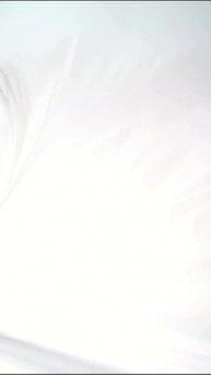 свадебный фон для сайта