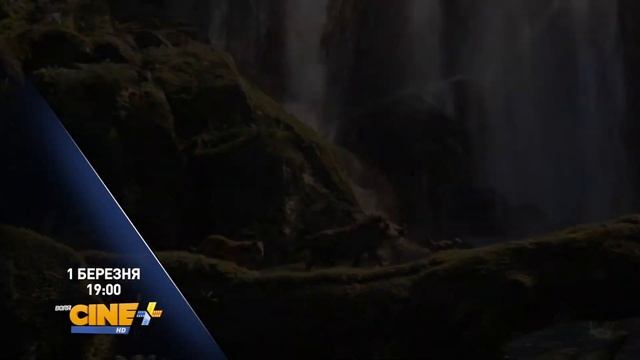 «Король Лев». Прем’єра 1 березня на Воля CINE+