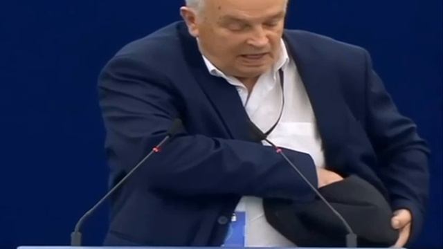 Голубиный побег из сумки