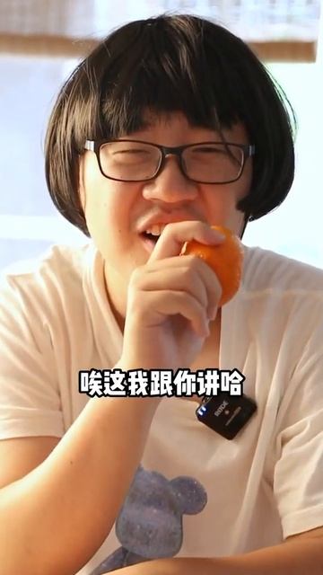 古树橘子；购买普洱茶，了解茶文化，请添加微信：zj4867#普洱茶 #茶文化