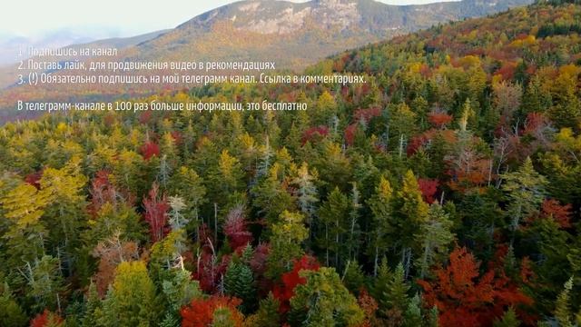 Женщина ВСЕГДА обманывает мужчину! Как распознать и почему это нормально?