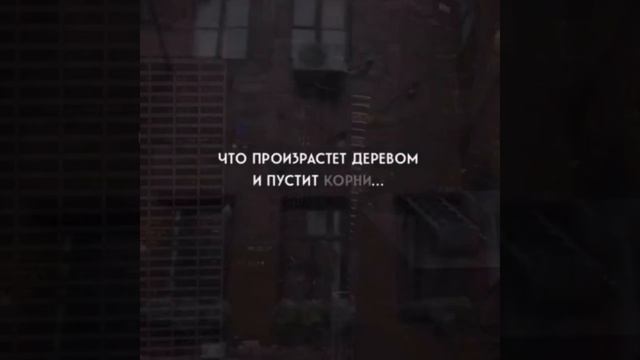 Однажды к тебе придет вера...
